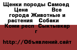 Щенки породы Самоед › Цена ­ 20 000 - Все города Животные и растения » Собаки   . Коми респ.,Сыктывкар г.